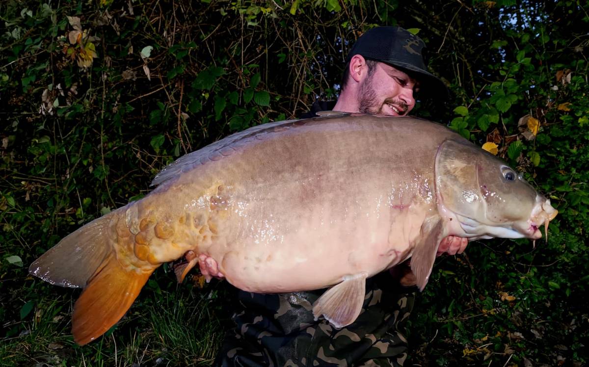 19kg